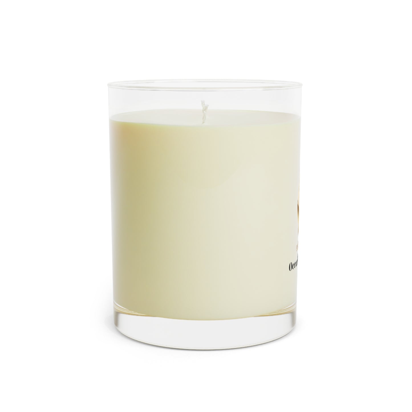 Ocean Mist & Moss Scented Candle - Elegant Home Fragrance, Relaxing Atmosphere, Gift for All Occasions, Aromatherapy Candle, 11oz [...]